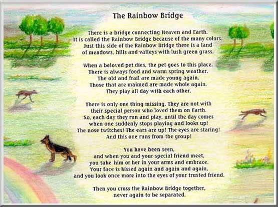 the rainbow bridge poem